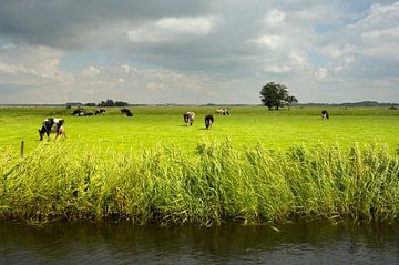 Veen- en Veldendijkpad van Willem van Leuveren Fotografie