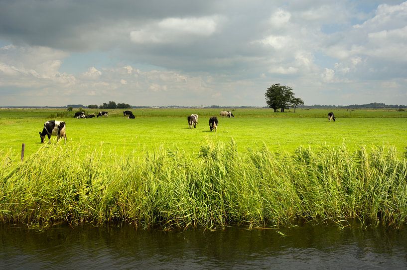 Veen- en Veldendijkpad von Willem van Leuveren Fotografie