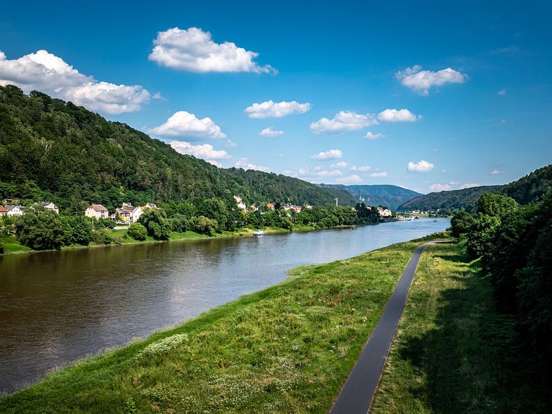 Blick auf das Elbufer bei Bad Schandau in Sachsen von Animaflora PicsStock