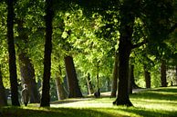 Zocherpark à Utrecht près de Maliesingel par In Utrecht Aperçu