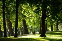 Zocherpark in Utrecht er hoogte van Maliesingel