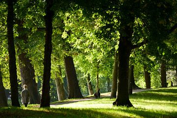 Zocherpark in Utrecht bei Maliesingel von In Utrecht