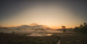 Morgendlicher Nebel von Lex Schulte