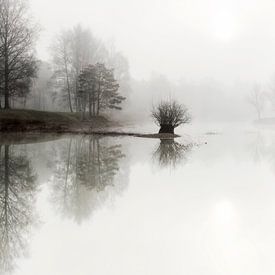 Lac brumeux dans la forêt, forêt aux Pays-Bas sur Sebastian Rollé - travel, nature & landscape photography