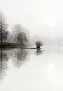 Lac brumeux dans la forêt, forêt aux Pays-Bas sur Sebastian Rollé - travel, nature & landscape photography