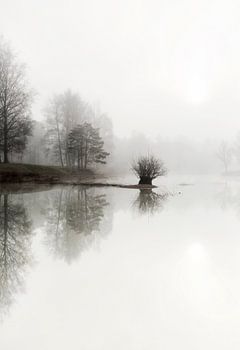 Misty lake in the forest, forest in the Netherlands