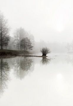 Mistig meer in het bos, bos in Nederland van Sebastian Rollé - travel, nature & landscape photography