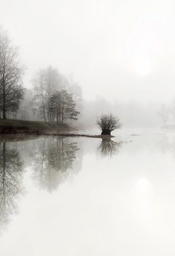 Misty lake in the forest, forest in the Netherlands
