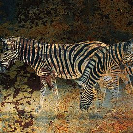 Zebra's op de vlaktes in Namibie van Chris Moll
