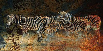 Zebras on the plains in Namibia by Chris Moll