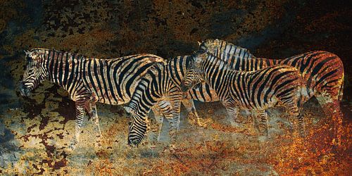 Zebras auf den Ebenen in Namibia von Chris Moll