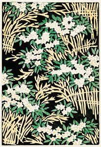 Forest illustration