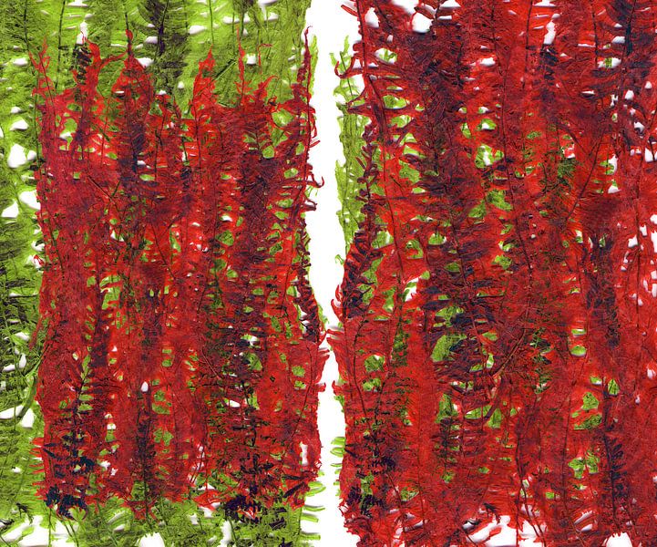 Green and red plant leaves composition by ART Eva Maria