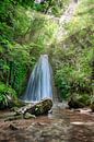 Waterval in Parco Cascate Molina van Hille Bouma thumbnail
