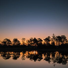 bomenrij bij zonsopkomst von Arjan Stunnenberg