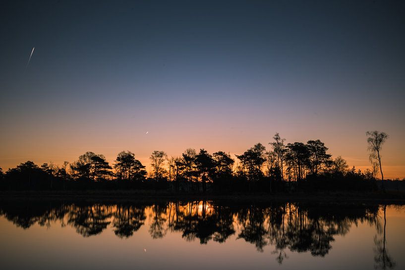 bomenrij bij zonsopkomst by Arjan Stunnenberg