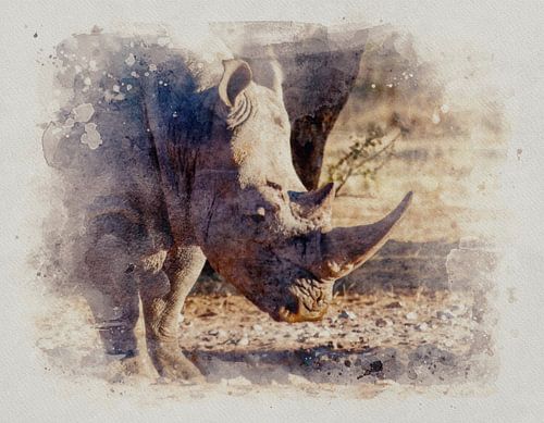 Zwarte Neushoorn in de wildernis