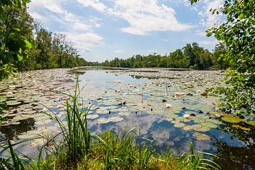 Lusthof de Haeck Nieuwkoop by Johan van Spanjen