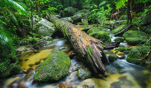 Mossman gorge, Far North Queensland - Australia by Van Oostrum Photography