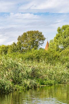 Uitzicht over de rivier de Warnow met bomen en kerktoren bij de van Rico Ködder