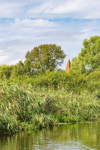 Uitzicht over de rivier de Warnow met bomen en kerktoren bij de