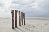 Paalhoofden bij Renesse