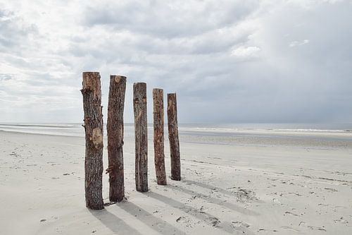 Pile Heads à Renesse sur Zeeland op Foto