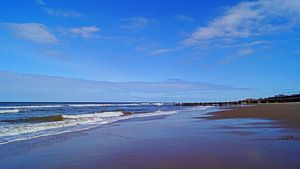 La plage de Walcott