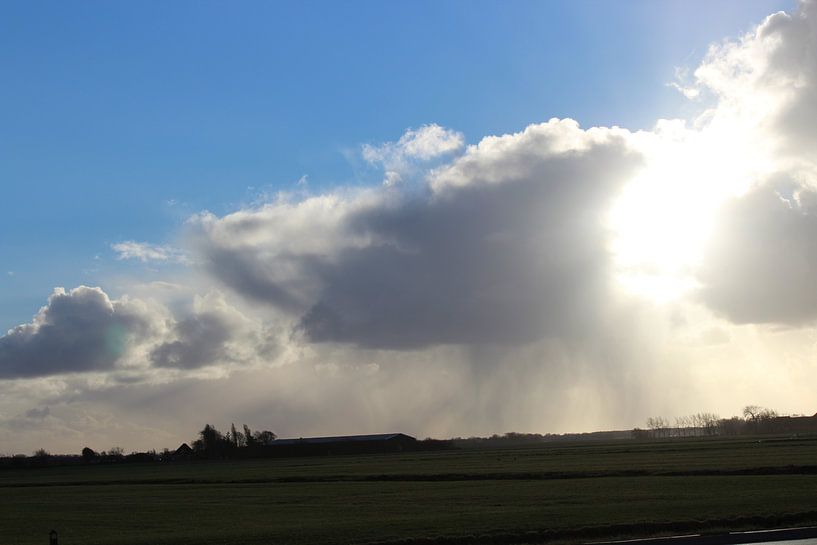Drohende Wolken über einer Wiese von Elisabeth Eisbach