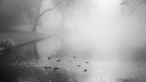 Purmerend im Nebel
