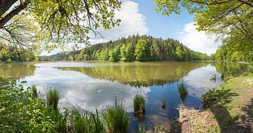 idyllische wildernis, veenmeer Thanning, lentelandschap  bavarije van SusaZoom