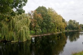 Rijsterborgherpark. von Richard Wareham