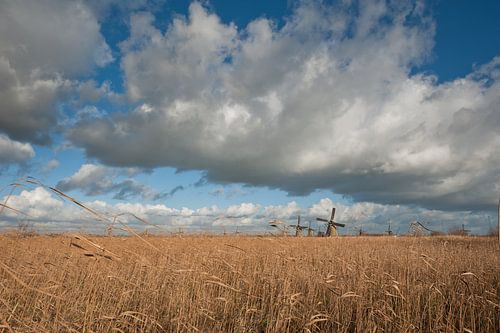Kinderdijk