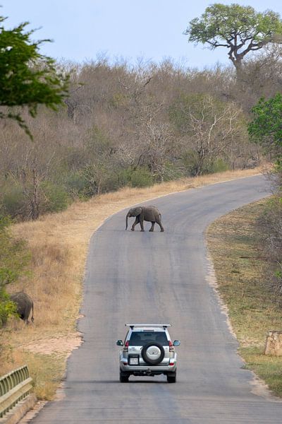 Fotos von unserer dreiwöchigen Tour durch Südafrika von Robin Beukeboom