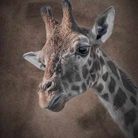 Giraffe in bruine warme tinten van Tonny Verhulst