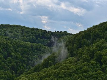 Des pans de brume s'élèvent des forêts du Jura souabe. sur Timon Schneider