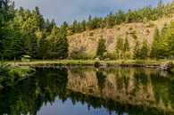 Wonderful hiking paradise at the Rennsteig/Thuringian Forest by Oliver Hlavaty thumbnail