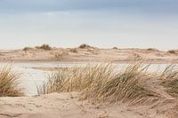 Dunes - Sur la côte de Terschelling