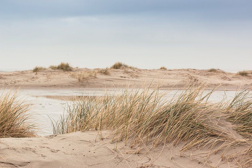 Dunes - Sur la côte de Terschelling par Marjan Schmit Visser