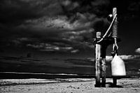Lost Beach