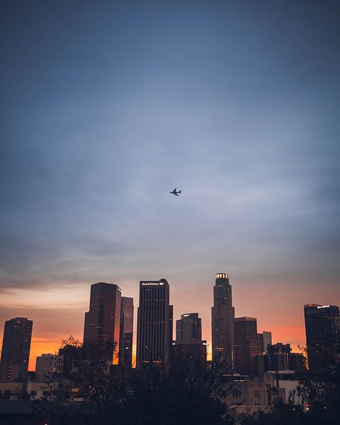 Los Angeles by Hello Pompoyo