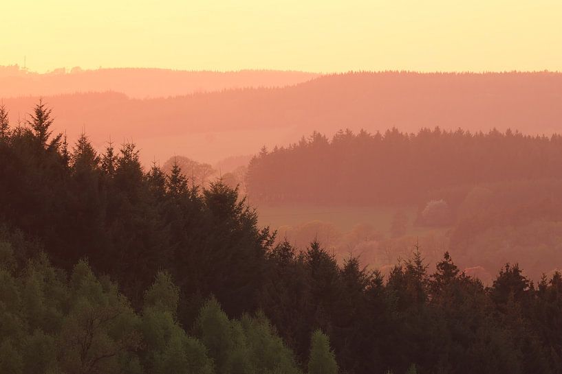Layer landscape.1 by Daniëlle Eibrink Jansen
