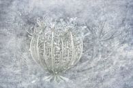Creatief met Wilde peen - Fine Art foto schilderij -in Zilver kleur van Marianne van der Zee thumbnail