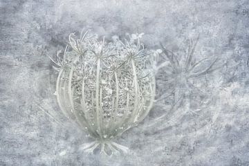Creatief met Wilde peen - Fine Art foto schilderij -in Zilver kleur
