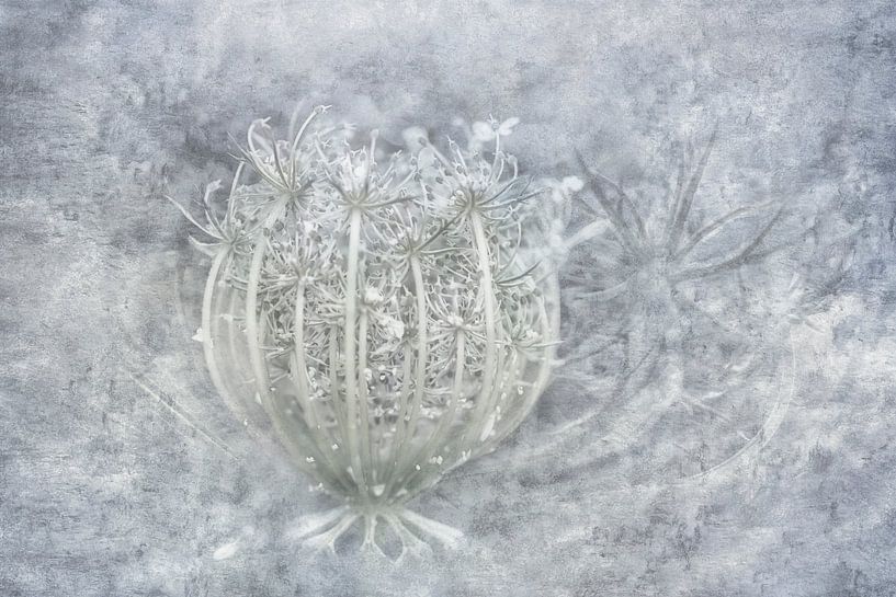 Creatief met Wilde peen - Fine Art foto schilderij -in Zilver kleur van Marianne van der Zee