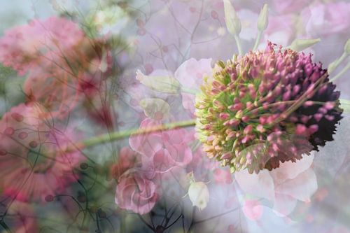 Abstracte fotografie | Abstract expressionisme | Modern abstract | Roze bloemen gerbera roos allium