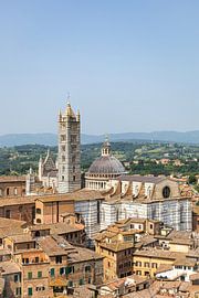 Der Dom von Siena in Italien vom Torre de Mangia aus gesehen (Porträt)
