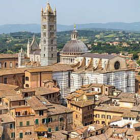Der Dom von Siena in Italien vom Torre de Mangia aus gesehen (Porträt) von André Blom Fotografie Utrecht