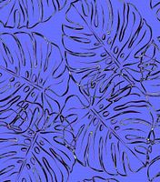 Blaue Monsteras