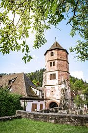 Magnificent monastery ruins Hirsau in the Black Forest